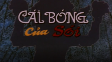 Cái Bóng Của Sói