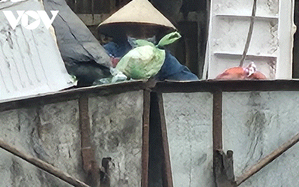 Các bác ấy đang phân loại rác